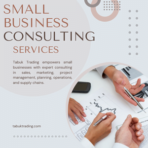 What is Business Consulting?